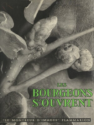 cover image of Les bourgeons s'ouvrent